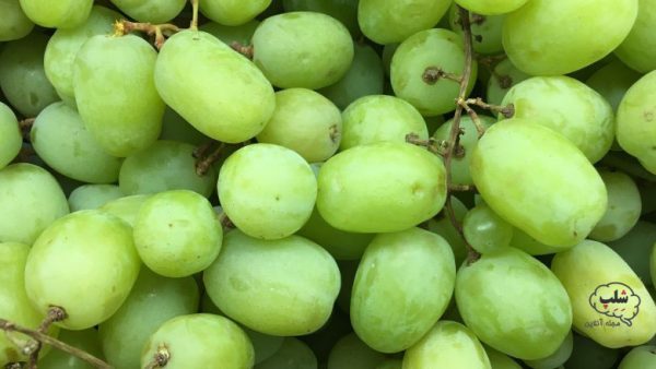 6 میوه که باید بخورید و 6 میوه که نباید بخورید