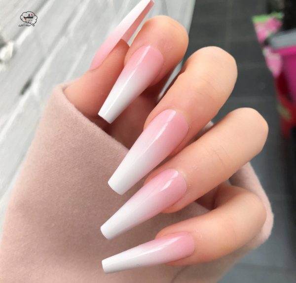 آموزش کاشت بیبی بومر