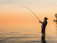 آیا ماهیگیری گناه است