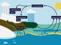 بیلان آب چیست