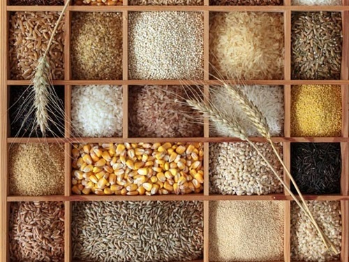 بلغور گندم برای لاغری