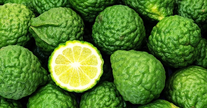 اسانس برگاموت