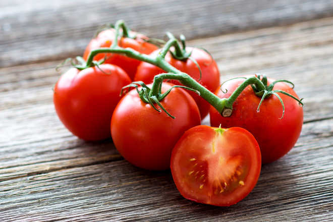 گوجه فرنگی برای کبد