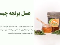 عسل یونجه