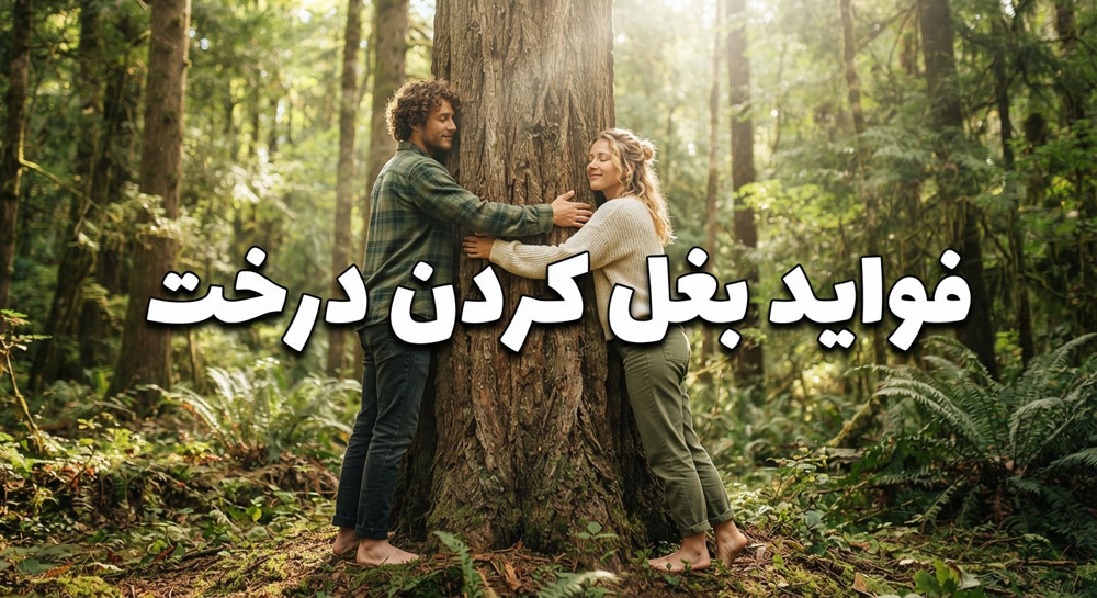 آغوش گرفتن درخت